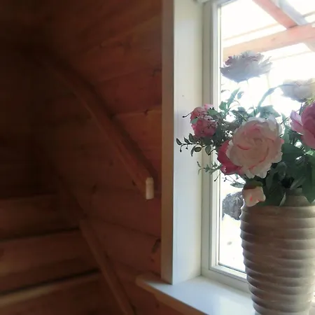 Detached With Sauna