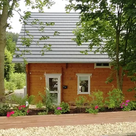 Detached With Sauna Medebach